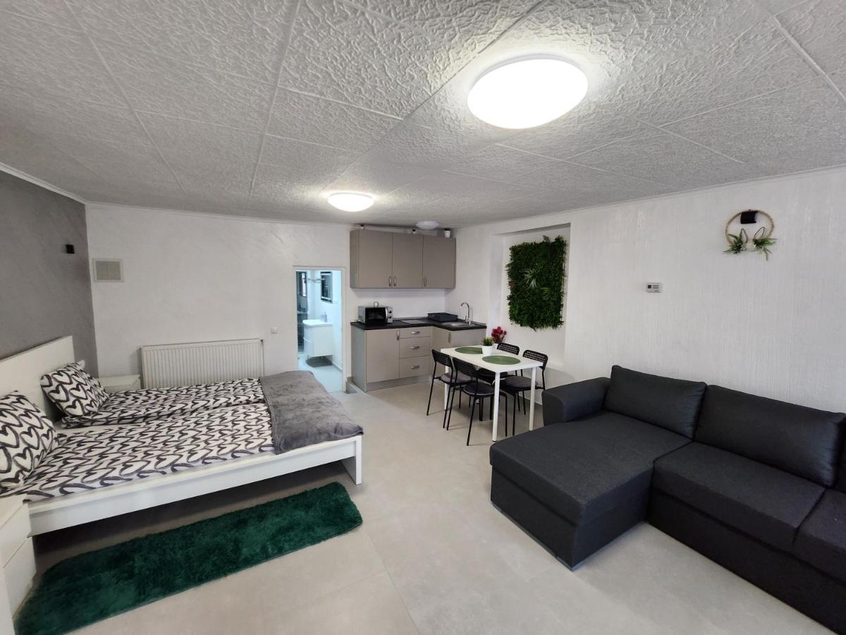 Apartament Dada Сигишоара Экстерьер фото