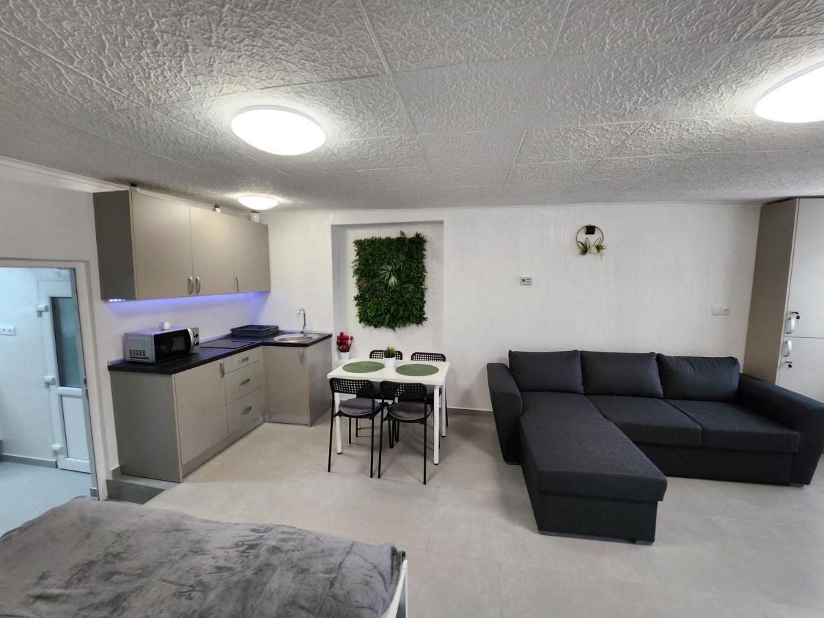 Apartament Dada Сигишоара Экстерьер фото