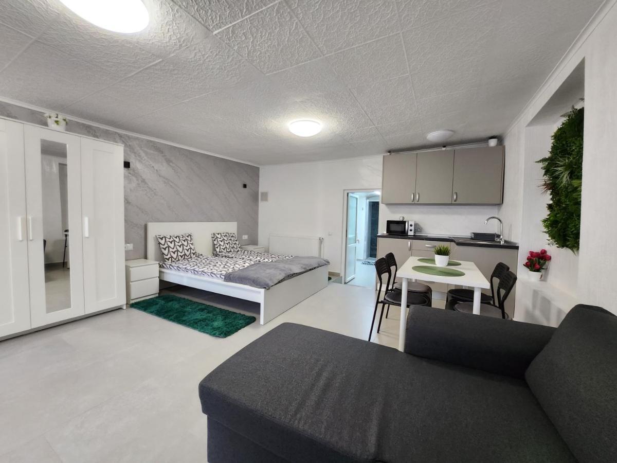 Apartament Dada Сигишоара Экстерьер фото