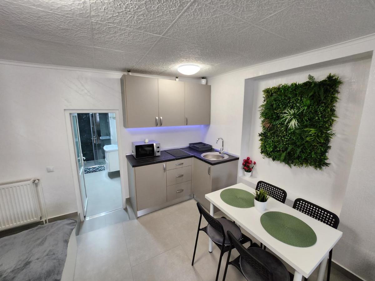 Apartament Dada Сигишоара Экстерьер фото